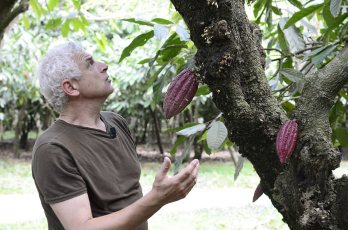 françois pralus observant des fèves de cacao