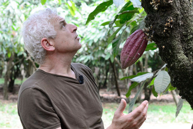 Y aura-t-il du (bon) chocolat à Noël ?