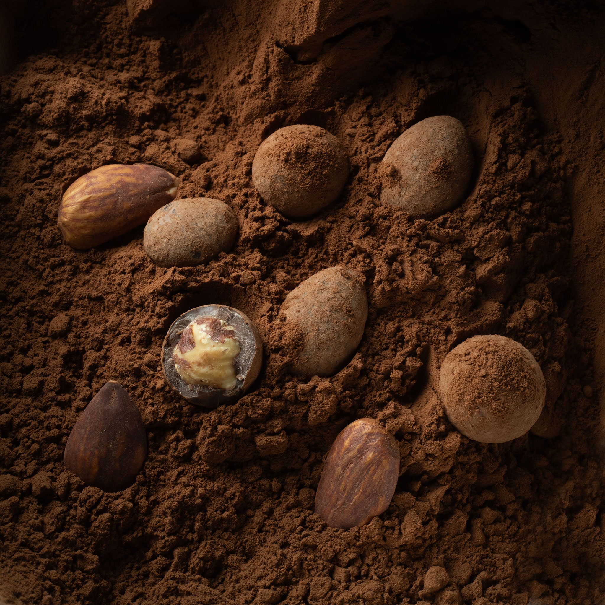 Mixture of Mexican and Piedmontese