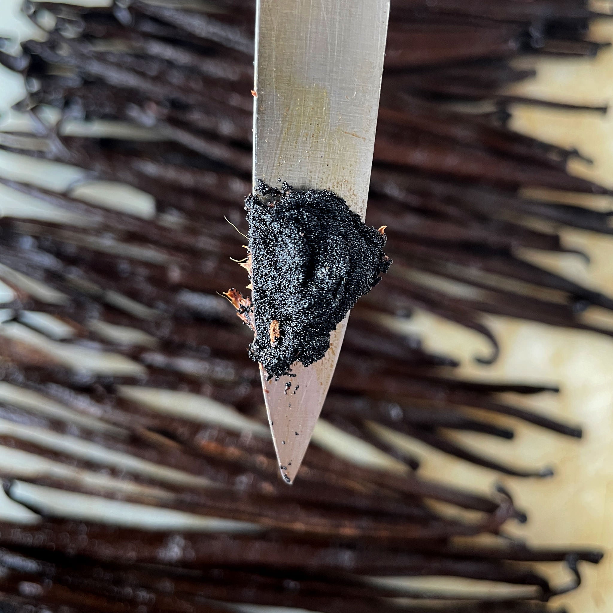 Organic Vanilla from Madagascar