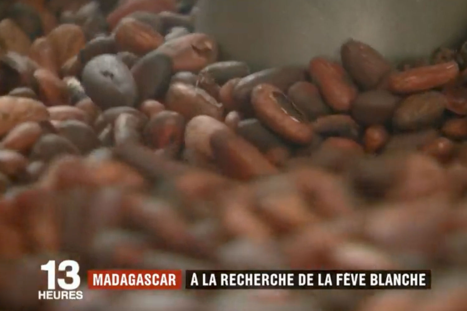 Au 13 heures de France 2 : la fève blanche de Madagascar