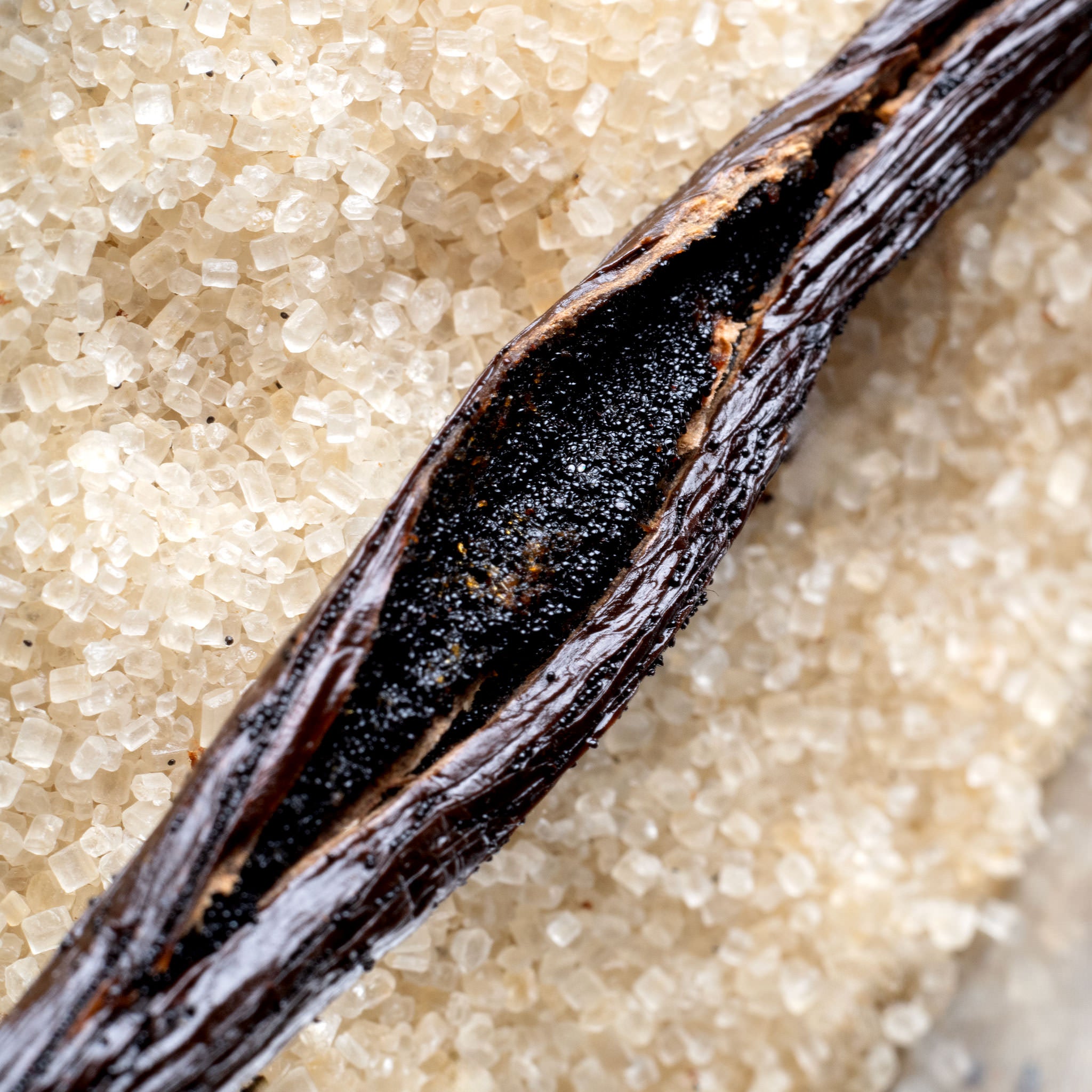 Organic Vanilla Sugar
